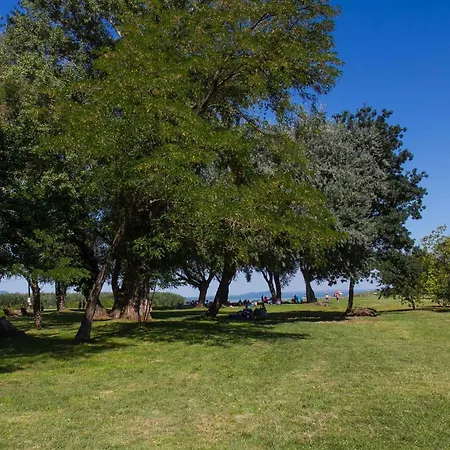 Сasa de vacaciones In 42284